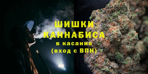 эйфоретик Аркадак