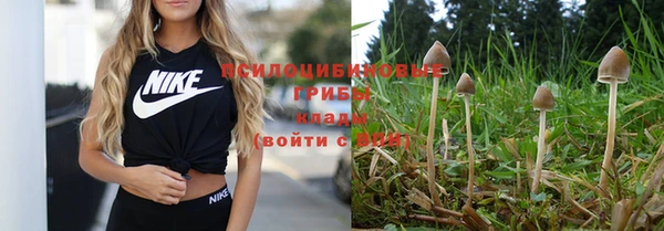 эйфоретик Аркадак