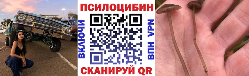 Псилоцибиновые грибы Psilocybine cubensis  купить   Когалым 