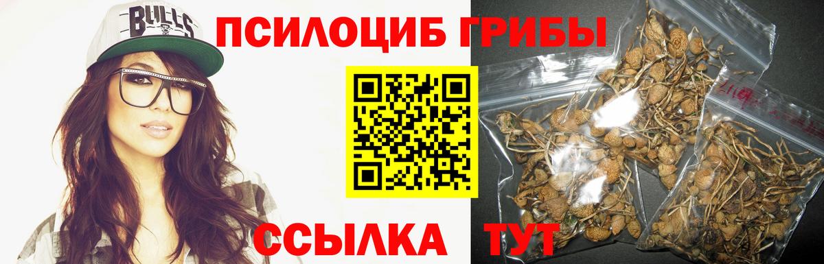 Псилоцибиновые грибы MAGIC MUSHROOMS Когалым
